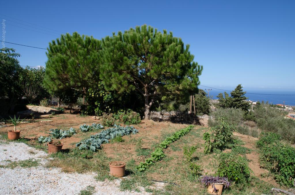 Villa Sunrise Kefalas Buitenkant foto